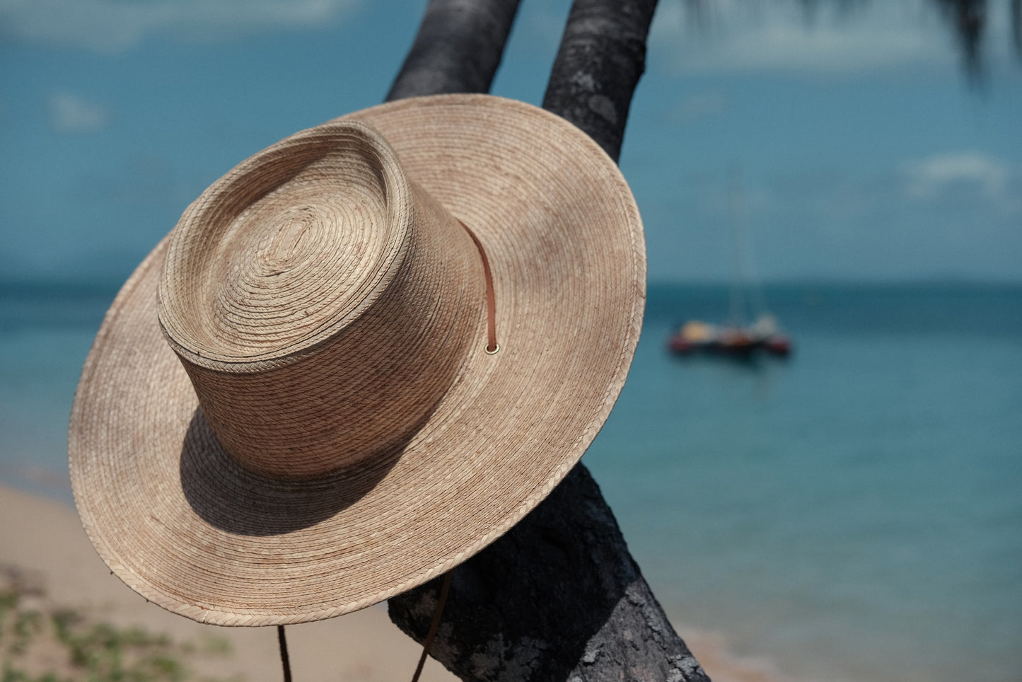 Jack Savage Wayfinder Palm straw hat on a branch with a blurred beach and ocean background